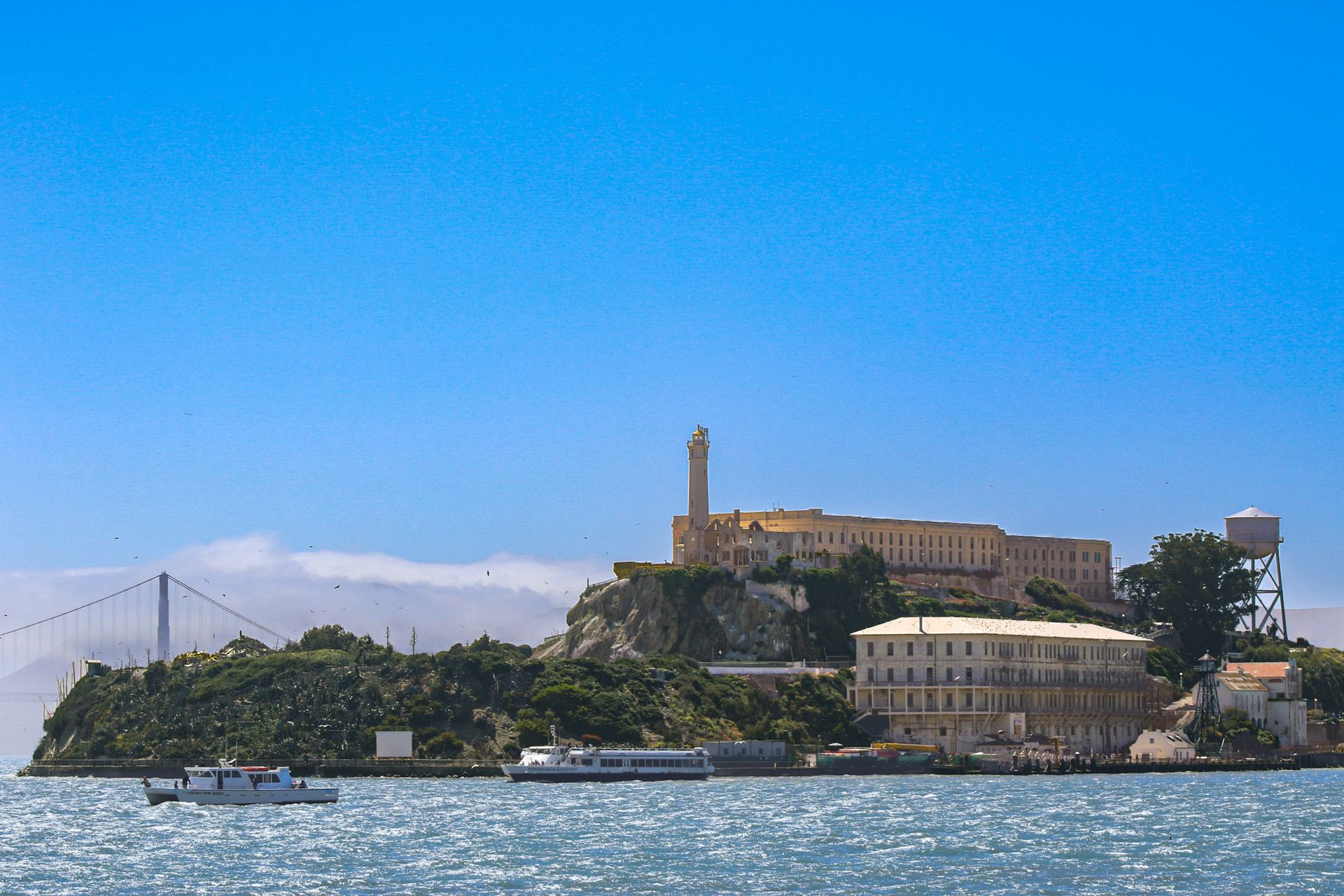 Alcatraz Day Tour
